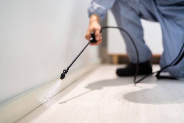 Certified termite inspector examining foundation in Algonquin